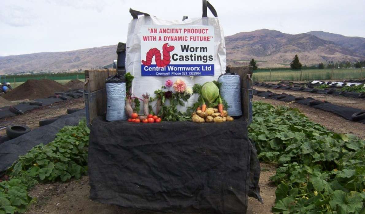 Central Wormworx Ltd Central Otago